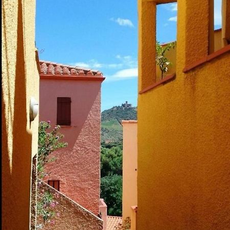 Rocade De Collioure Appt T4 Avec Grande Terrasse Et Garage Apartman Kültér fotó