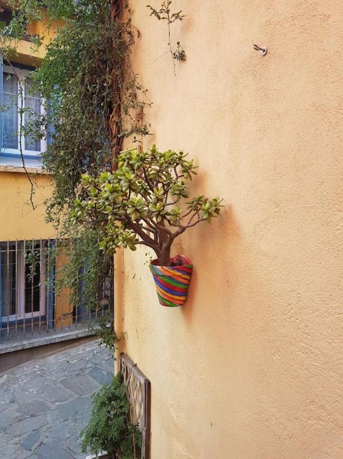 Rocade De Collioure Appt T4 Avec Grande Terrasse Et Garage Apartman Kültér fotó
