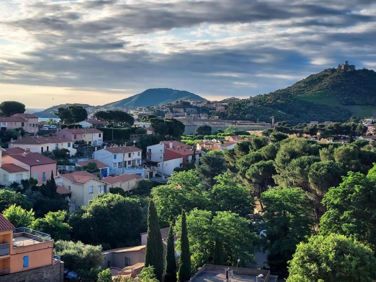 Rocade De Collioure Appt T4 Avec Grande Terrasse Et Garage Apartman Kültér fotó