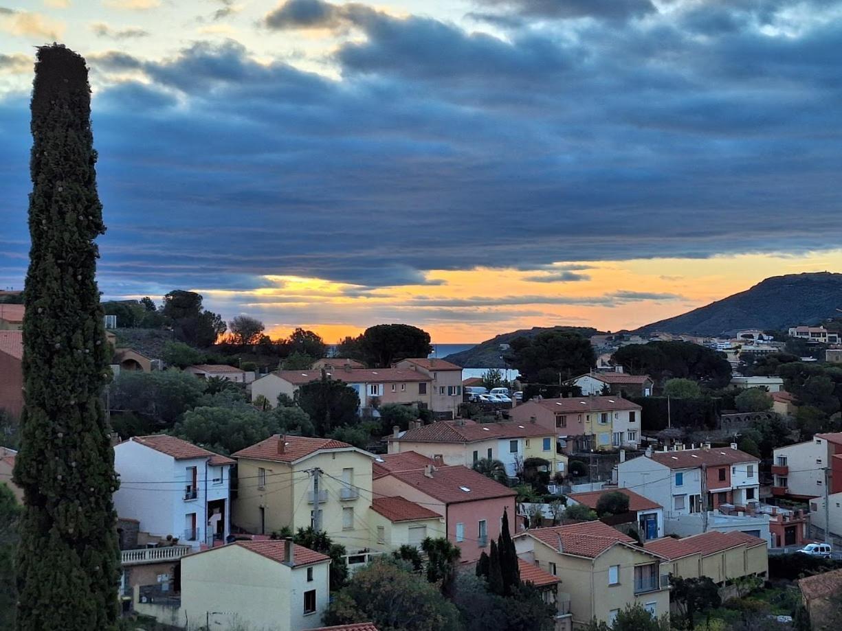 Rocade De Collioure Appt T4 Avec Grande Terrasse Et Garage Apartman Kültér fotó
